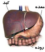 دلیل و درمان نارسایی کبدی؛ به بهانه درگذشت حسن جوهرچی